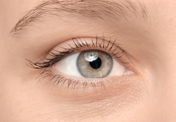 Obraz premium Kobiece oko z długimi rzęsami, zbliżenie
