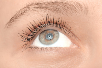 Fototapeta premium Female eye with long lashes, closeup