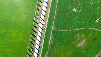 Aerial view of beautiful cypress road in Tuscany at spring