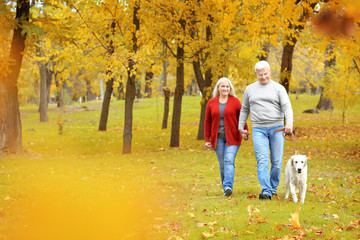 Mature couple walking their dog in park