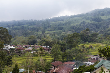 Fototapeta premium View of ricefields and houses in the small village of Moni near Kelimutu in East Nusa Tenggara, Indonesia.