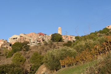 Fototapeta na wymiar village of La Vilella Alta, el Priorat, Tarragona, Catalonia, Spain