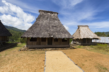 Rice dries in front of tradtional houses in the Wologai village near Kelimutu in East Nusa Tenggara, Indoneisa.