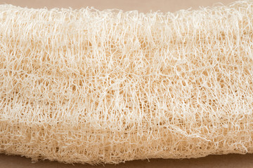 Scientific name is Luffa cylindrica (L.) M.J.Roem. Close up view of dry thread and pattern of old Sponge gourd.  - obrazy, fototapety, plakaty