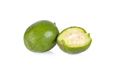 Elaeocarpus hygrophilus on white background