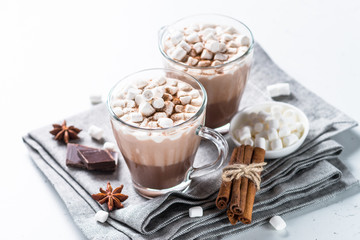 Chocolat chaud ou cacao à la guimauve.