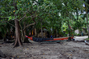 red fishing boats under trees on the shore near a small Thai village