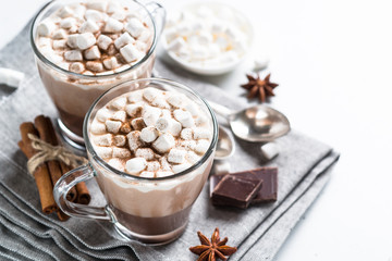Fototapeta na wymiar Hot chocolate or cocoa with marshmallow.