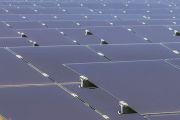  Close up array of  thin film solar cells or amorphous silicon solar cells in solar power plant turn up skyward absorb the sunlight from the sun use light energy to generate electricity 