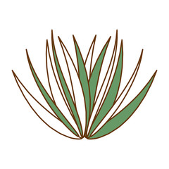 palm leaf isolated icon vector illustration design