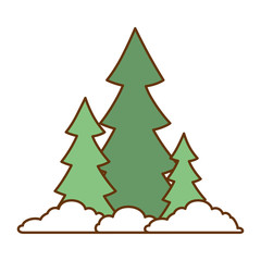pine forest scene icon vector illustration design