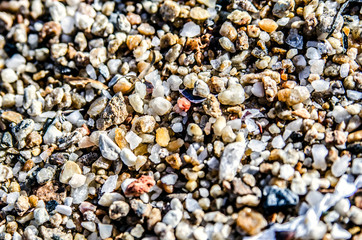 A lot of small pebbles in the sand on the beach.
