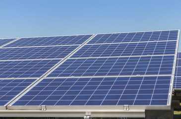 rows array of polycrystalline silicon solar cells in solar power plant turn up skyward absorb the sunlight from the sun 