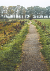 Walking path in misty dutch rural autumn landscape.