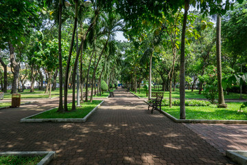 Alley in central park of Saigon. Ho Chi Minh City, Vietnam. 
