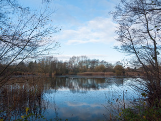 Fototapeta premium beautiful cold lake scene autumn branches water surface reflections trees