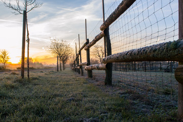 Obraz premium fenced in fields