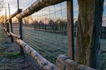 fenced in fields