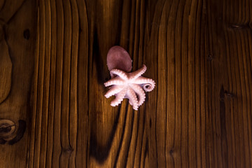 Octopus on the table. Set for cooking. Diet