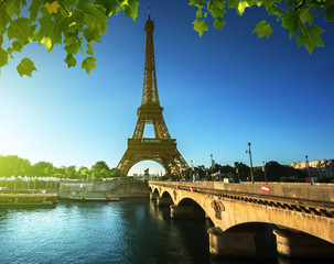 Obraz premium Eiffel tower, Paris. France