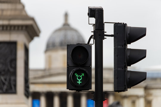 Transgender Ampel in London