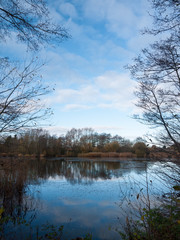 Fototapeta na wymiar beautiful cold lake scene autumn branches water surface reflections trees