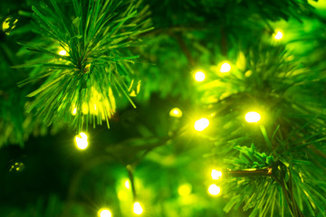 Christmas tree decorated with yellow lights