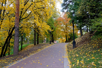Naklejka premium Alley in the Park in Autumn