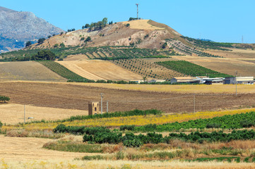 Fototapeta premium Sicily summer agriculture countryside, Italy