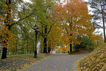 Alley in the Park in Autumn