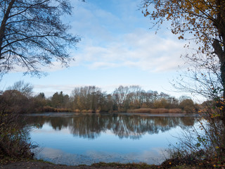 beautiful cold lake scene autumn branches water surface reflections trees