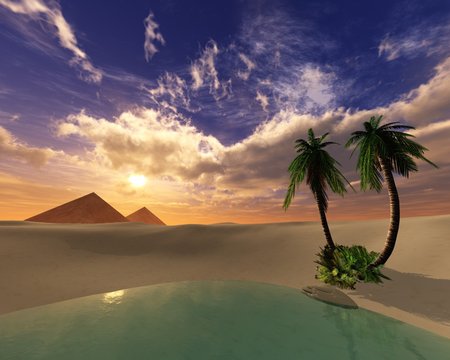 oasis, beautiful sunset in the desert, the sun above the sand and palm trees
