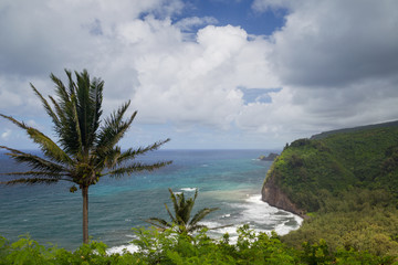 Blick am Pololu Valley auf die Nordküste von Big Island, Hawaii, USA.