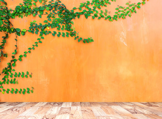 Fototapeta na wymiar Wooden board the orange wall green ivy plant.