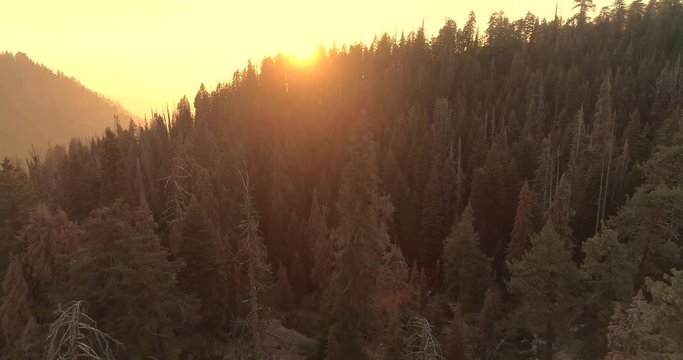 Sequoia National Park. Sunrise. Sunset. The third video is from three. Aerial drone 4K. Nov 2017