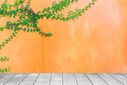 Wooden board the orange wall green ivy plant. © suwatwongkham