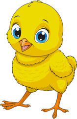 Little funny chicken