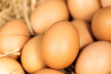 Chicken eggs lying in the hay