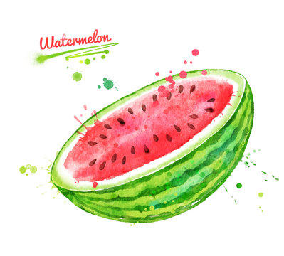 Watercolor illustration of watermelon