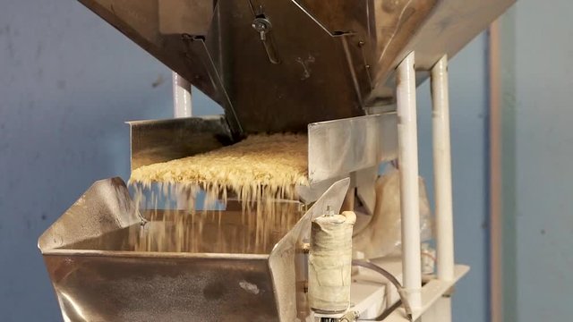 rice on a conveyor belt
