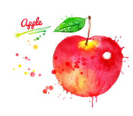 Watercolor illustration of red apple © Sonya illustration