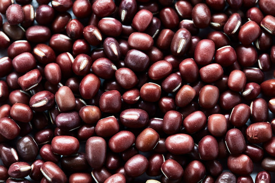 Adzukibohnen, Azukibohnen (Vigna angularis), bildf&uuml;llend