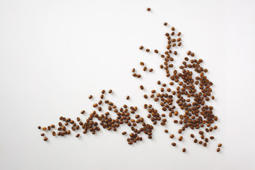 Kaffeebohnen auf weißem Hintergrund