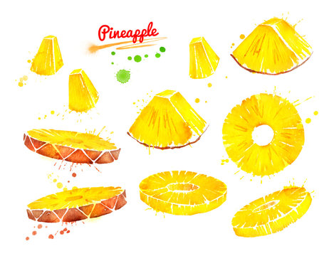 Watercolor illustrations set of sliced pineapple