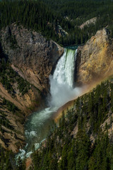 Fototapeta na wymiar Lower Yellowstone Falls, Wyoming