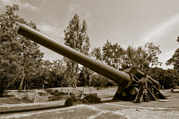 cannon