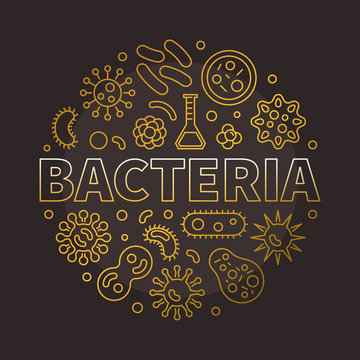 Bacteria round colorful symbol made with different bacterias ico