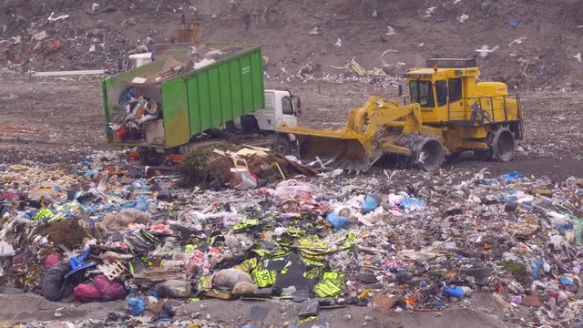 Garbage bulldozer surrounded by a flock of seagulls