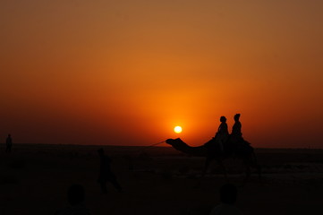 The Golden Safari © praveen sirvi