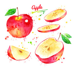 Watercolor set of red apples